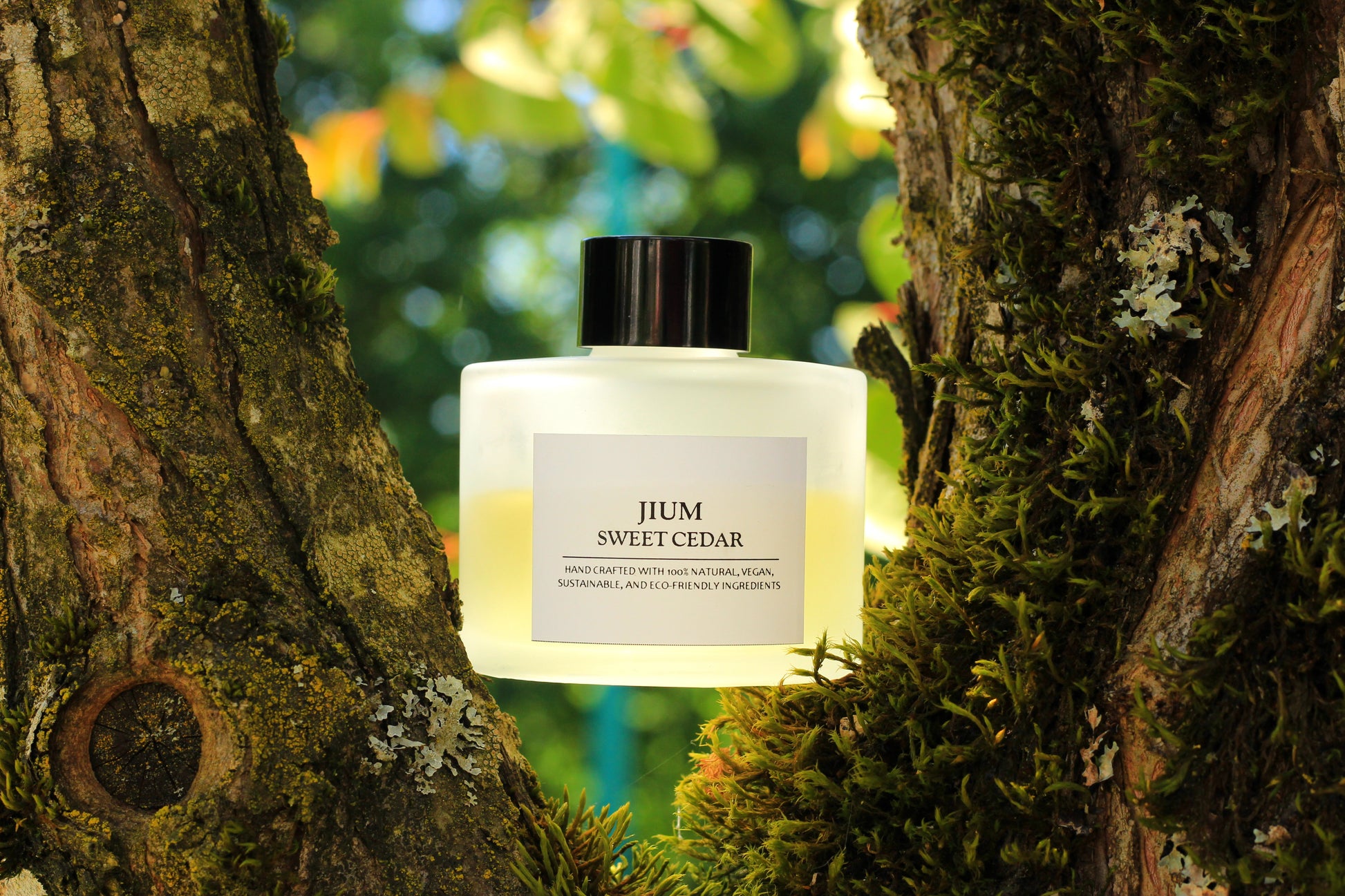 DIFFUSER - SWEET CEDAR